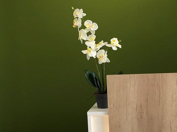 Fonix Centro Auditivo