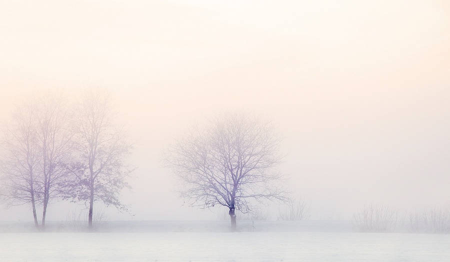 En invierno, protege los oídos